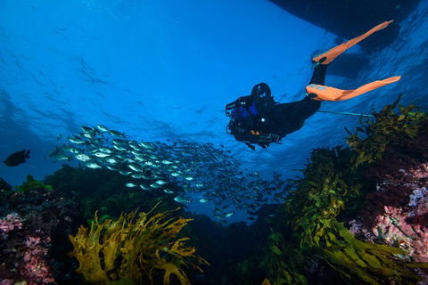 Become A PADI Open Water Diver In 3 Days In Perth - Accommodation Kalgoorlie 1