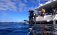 Become A PADI Open Water Diver In 3 Days In Perth - thumb 0