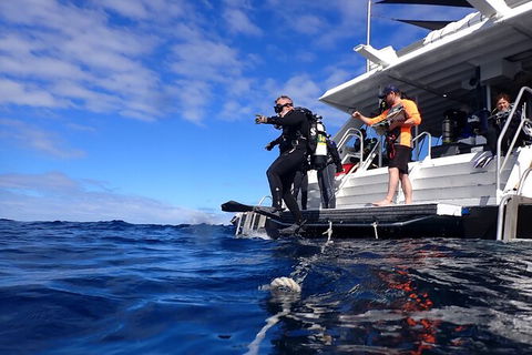Become A PADI Open Water Diver In 3 Days In Perth - Accommodation Kalgoorlie 0