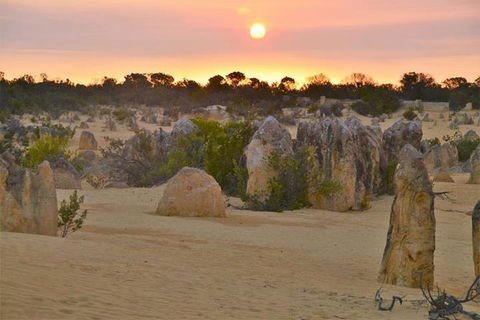 Pinnacle Desert Sunset And Stargazing With Dinner - Accommodation Kalgoorlie 3