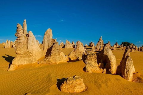 Pinnacle Desert Sunset And Stargazing With Dinner - Accommodation Kalgoorlie 5