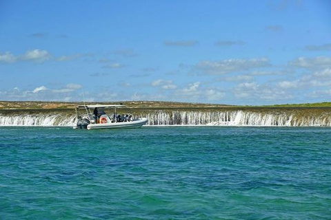 Cygnet Bay Unique Tidal Waterfall Reefs Scenic Cruise - Accommodation Kalgoorlie 4