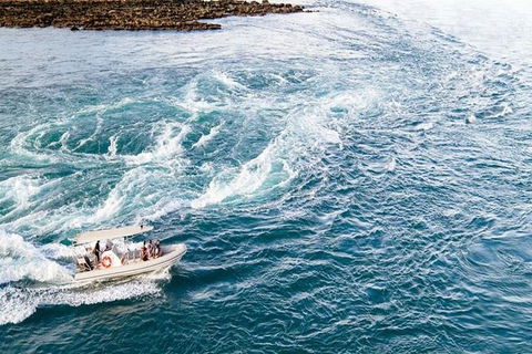 Cygnet Bay Unique Tidal Waterfall Reefs Scenic Cruise - Accommodation Kalgoorlie 5