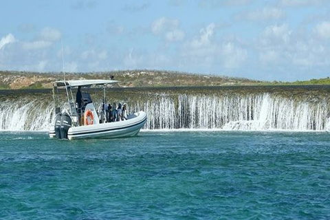 Cygnet Bay Unique Tidal Waterfall Reefs Scenic Cruise - Accommodation Kalgoorlie 1
