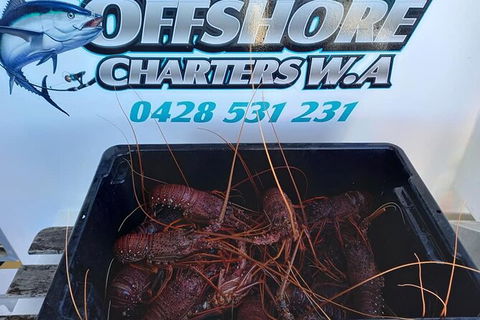 Lobster Fishing Tour At Geraldton - Accommodation Kalgoorlie 0