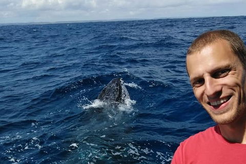 Whale Watching Boat Tour In Geraldton - Accommodation Kalgoorlie 2