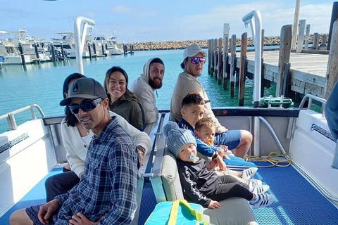 Whale Watching Boat Tour In Geraldton - Accommodation Kalgoorlie 1