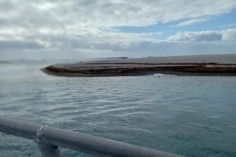 Abrolhos Islands Fishing Charter - Accommodation Kalgoorlie 6