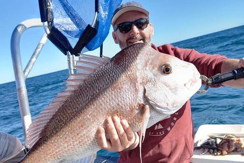 Abrolhos Islands Fishing Charter - Accommodation Kalgoorlie 9