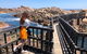 Full-Day Tour From Perth To Margaret River - thumb 3