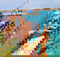 Rock lobster Pot Pull Tour in Kalbarri - Accommodation Kalgoorlie