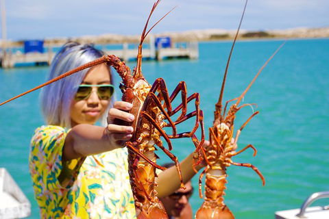 Rock Lobster Pot Pull Tour In Kalbarri - Accommodation Kalgoorlie 0