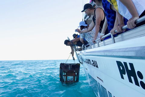 Rock Lobster Pot Pull Tour In Kalbarri - Accommodation Kalgoorlie 5