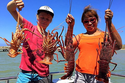 Rock Lobster Pot Pull Tour In Kalbarri - Accommodation Kalgoorlie 6