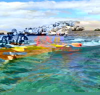 Penguin and Seal Islands Sea Kayaking Experience - Accommodation Kalgoorlie
