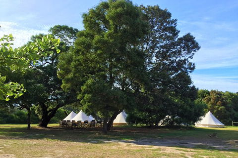 4-Day South West Yoga And Wellness Tour From Perth - Accommodation Kalgoorlie 10