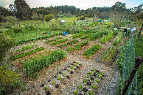 4-Day South West Yoga And Wellness Tour From Perth - Accommodation Kalgoorlie 7