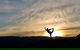 4-Day South West Yoga And Wellness Tour From Perth - thumb 0