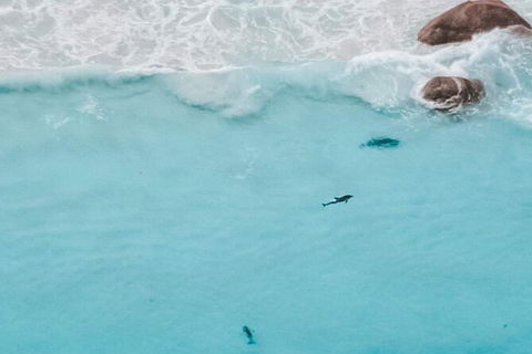 Lake Hillier-Middle Island Scenic Flight From Esperance - Accommodation Kalgoorlie 2