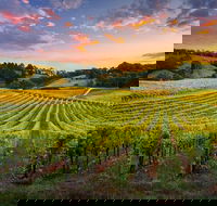 Swan Valley Sunset Wine Tour - Premium Small Group Tour - Accommodation Kalgoorlie