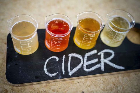 Bickley Valley Wine & Cider Tour - Premium Small Group Tour - Accommodation Kalgoorlie 1
