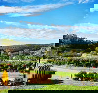 Bickley Valley Wine  Cider Tour - Premium Small Group Tour - Accommodation Kalgoorlie