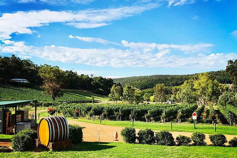 Bickley Valley Wine & Cider Tour - Premium Small Group Tour - Accommodation Kalgoorlie 0
