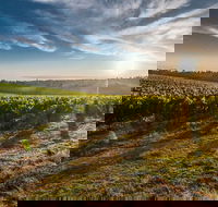 Perth to Margaret River Wine Tour - 2 Day Premium Boutique Wine Tour Experience - Accommodation Kalgoorlie