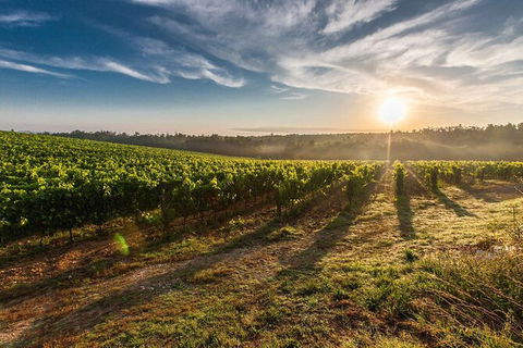 Perth To Margaret River Wine Tour - 2 Day Premium Boutique Wine Tour Experience - Accommodation Kalgoorlie 0