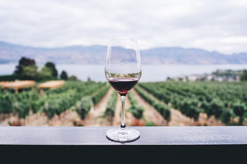 Full-Day Gourmet Wine Tour With Pick Up And Lunch - Accommodation Kalgoorlie 1