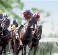 Colac Turf Club - Accommodation Kalgoorlie