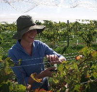 Kingsdale Wines - Accommodation Kalgoorlie
