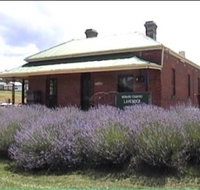 Lavender House in Railway Park - Accommodation Kalgoorlie