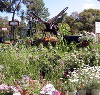 Zanthorrea Nursery - Accommodation Kalgoorlie