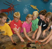 Naturaliste Marine Discovery Centre - Accommodation Kalgoorlie