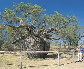 King Leopold Ranges WA Accommodation Kalgoorlie