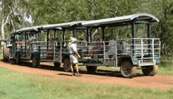 Whitsunday Crocodile Safari - Accommodation Kalgoorlie 2