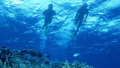 Air Whitsunday Day Tours - Accommodation Kalgoorlie 1