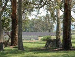 Amosfield QLD Accommodation Kalgoorlie