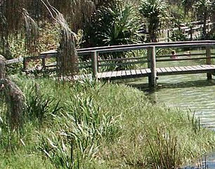 Australia Fraser Island Escape - Accommodation Kalgoorlie 1