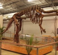 Australia's Dinosaur Trail - Accommodation Kalgoorlie