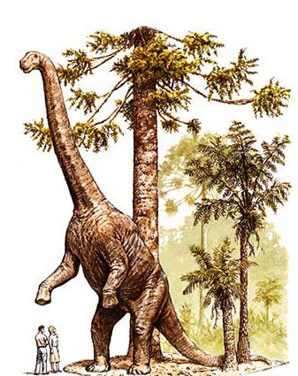 Australian Age Of Dinosaurs - Accommodation Kalgoorlie 2
