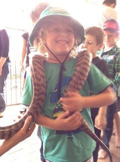 West Oz Wildlife Petting Zoos - Accommodation Kalgoorlie 3