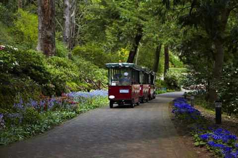 Araluen Botanic Park - Accommodation Kalgoorlie 0