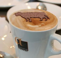 Brown Cow - Accommodation Kalgoorlie