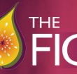 Pickled Fig - Accommodation Kalgoorlie