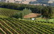 Brookhampton Estate Vineyard - thumb 1