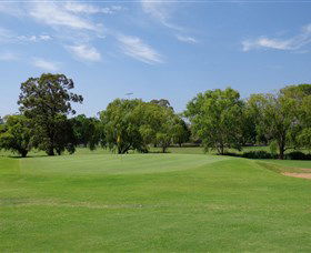 Singleton Golf Club - Accommodation Kalgoorlie 1