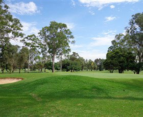 Singleton Golf Club - Accommodation Kalgoorlie 0
