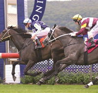 Gosford Race Club - Accommodation Kalgoorlie